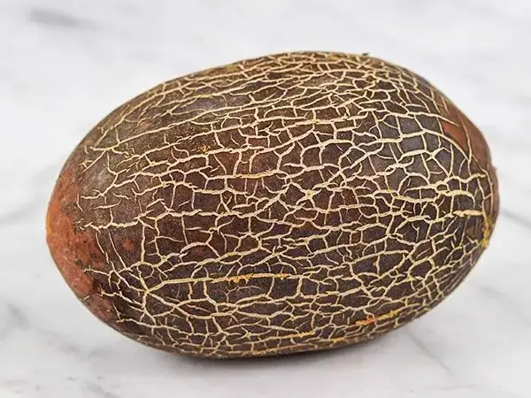 Cucumis sativus var. sikkimensis
